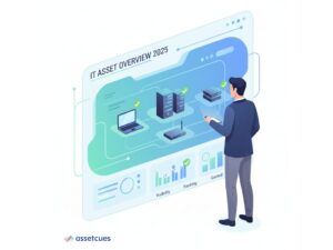 IT-asset-overview