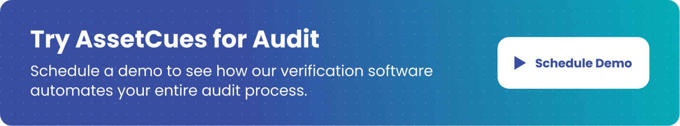 Try AssetCues for Audit